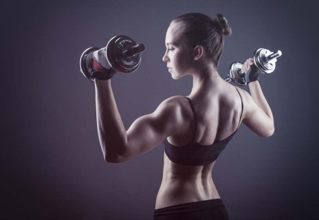 Séance de musculation des bras : anatomie et exercices, Toutelanutrition