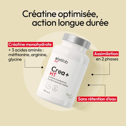 Crea+ HT Eiyolab TLN créatine et acides aminés