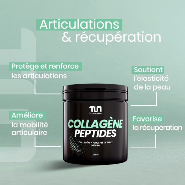 Collagène Peptides - Peptan®