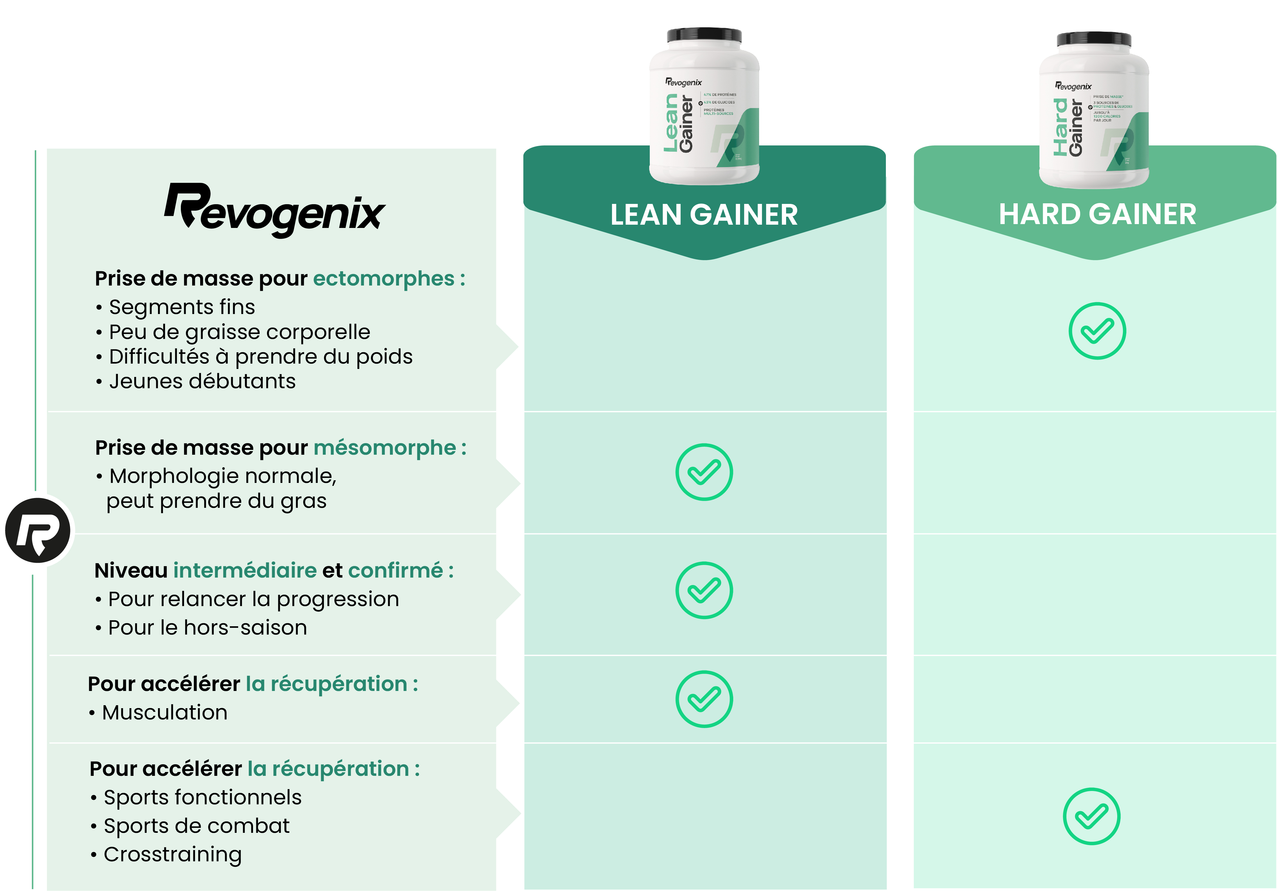 lean gainer vs hard gainer